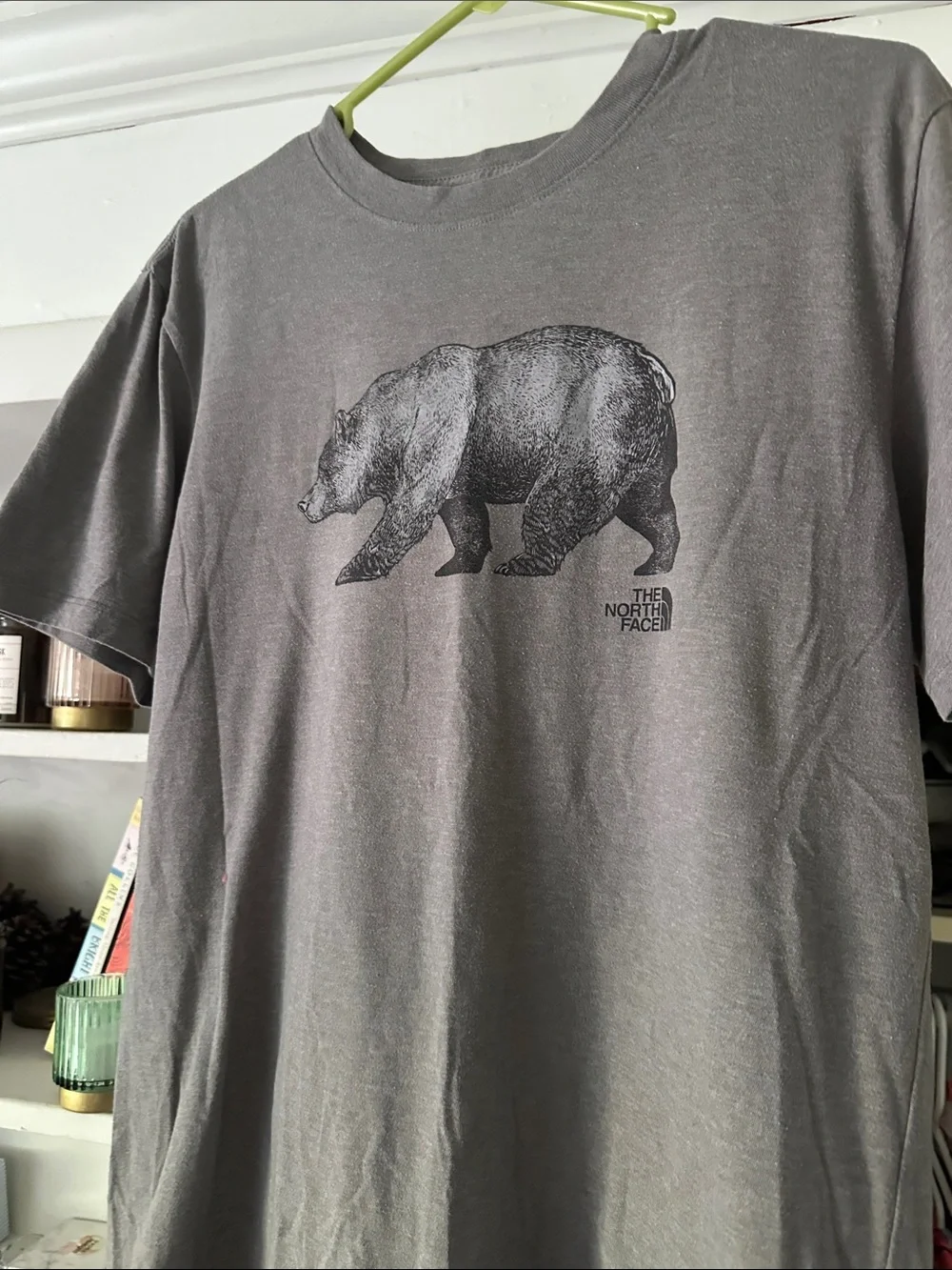 The North Face Men’s Gray Bear Graphic Short Sleeve Tee